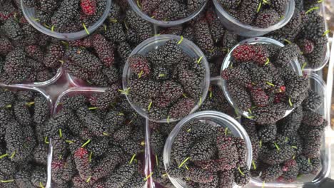 fresh mulberries in plastic containers