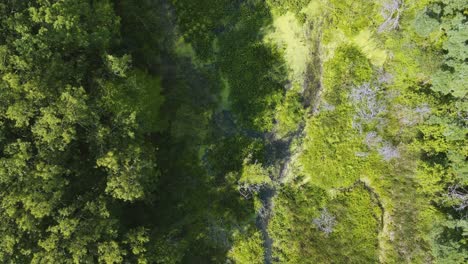 Bird's-eye-track-of-Ruddiman-Lagoon-in-summer