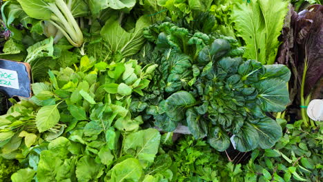 fresh herbs from the local farm for sale at an organic farmers market, healthy bio greens and salad leaves, 4k shot