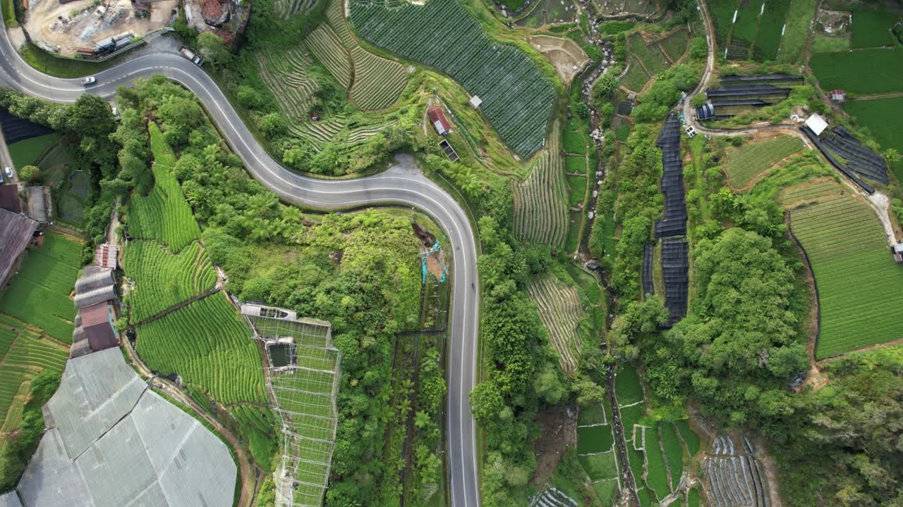 말레이시아의 카메론 하이랜드 지역 내의 브린창 지역의 일반 풍경