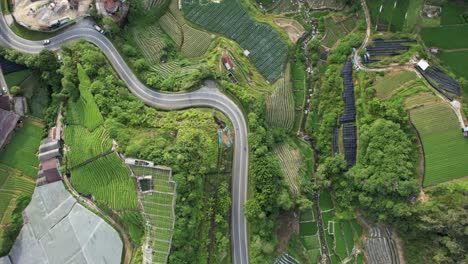 general landscape view of the brinchang district within the cameron highlands area of malaysia