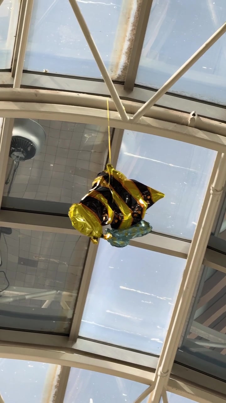 Palloncino in alluminio sgonfio incastrato sul soffitto in vetro di un atrio interno alla luce naturale del giorno