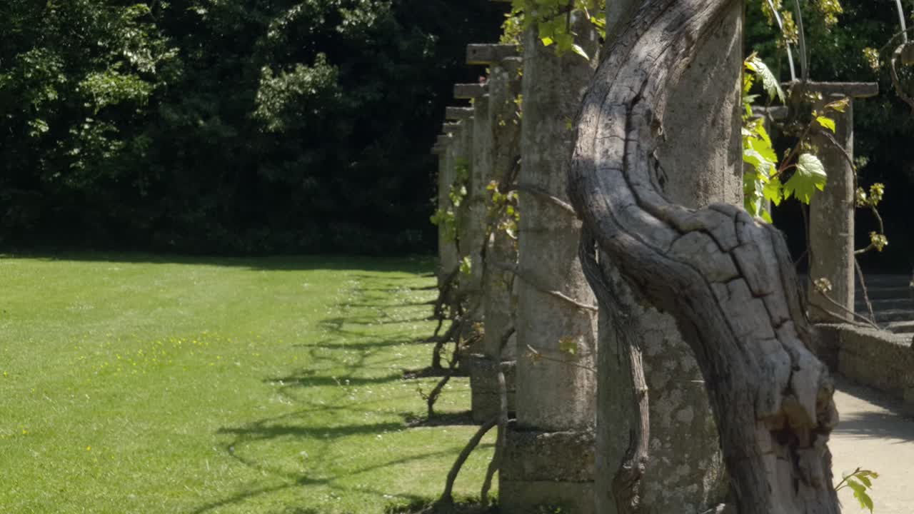 멋진 정원과 그 주변의 숲이 우거진 지역의 영상