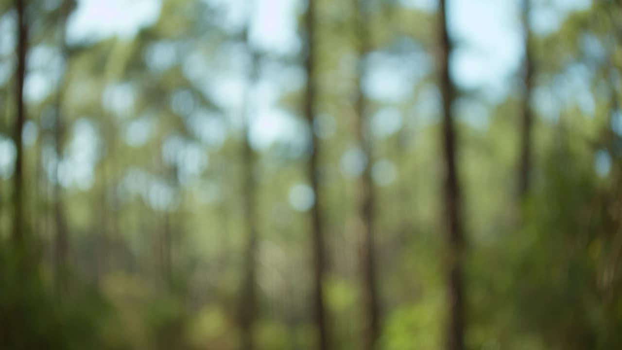 Blurred green, blue and brown background with motion lifting skywards