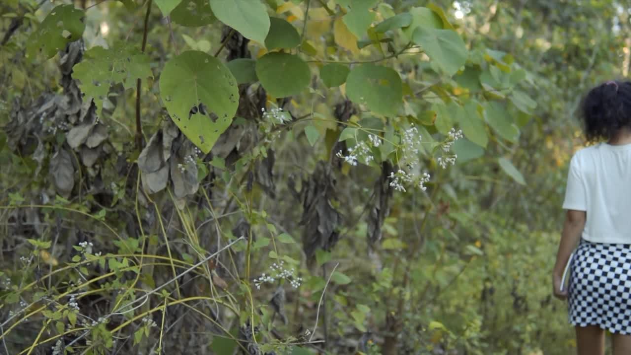 ⁇ 색 탑과 흑백 체스 보드 패턴의 치마를 입고 열대 우림을  ⁇ 고 있는 모델의 영화 촬영으로 나무에서 모델로 이동하는 초점을 맞추고, 느린 동작, 슬로모, 고아, 인도
