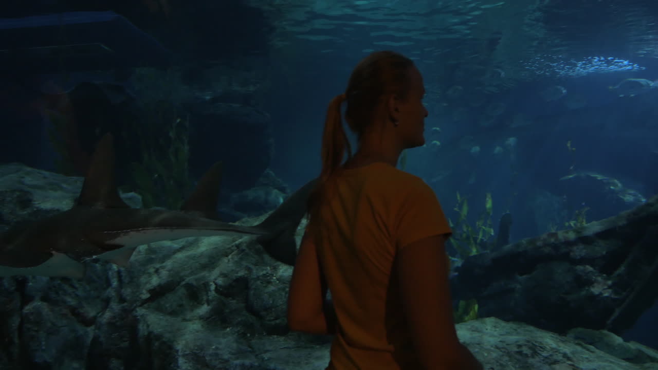 aprender la vida marina en el oceanario
