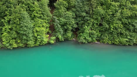 forest adorned shore of turquoise klontalersee lake,switzerland