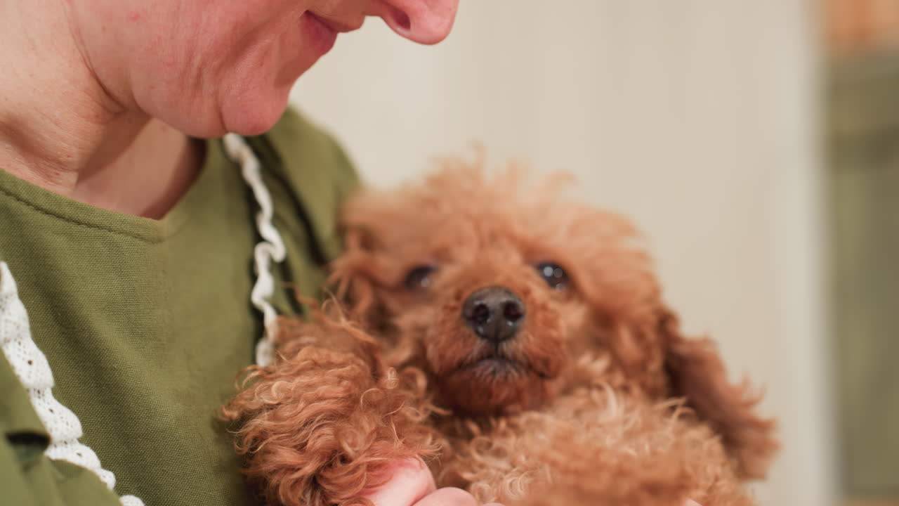 Close up of cheerful woman in green dress bonding with fluffy brown puppy as she touches its neck gently with loving expression, capturing joyful moment of playful affection