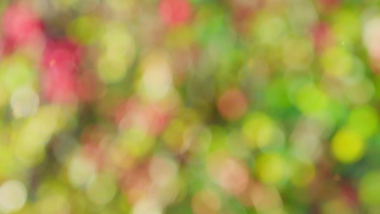 Sfondo autunnale astratto con effetto bokeh