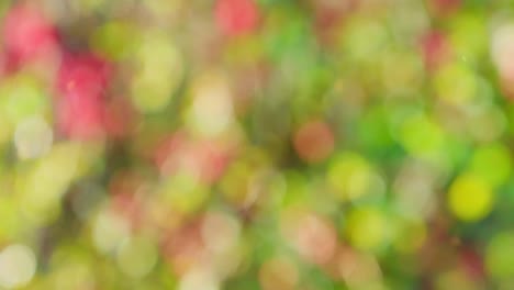 fondo de otoño abstracto con bokeh