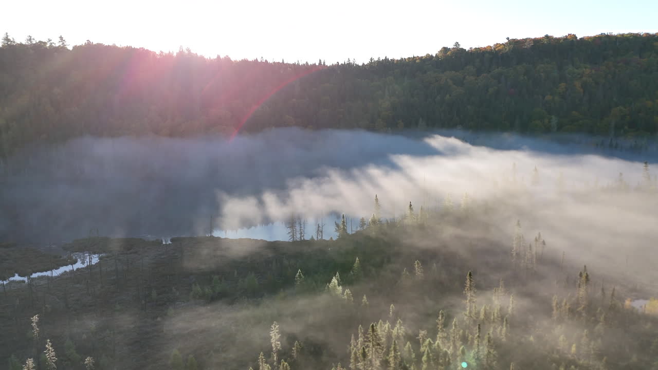 Aerial view of autumn forest and mountains in vivid colors with morning fog in Mauricie, Quebec, Canada. Soft sunlight illuminates the colorful foliage over peaceful wilderness