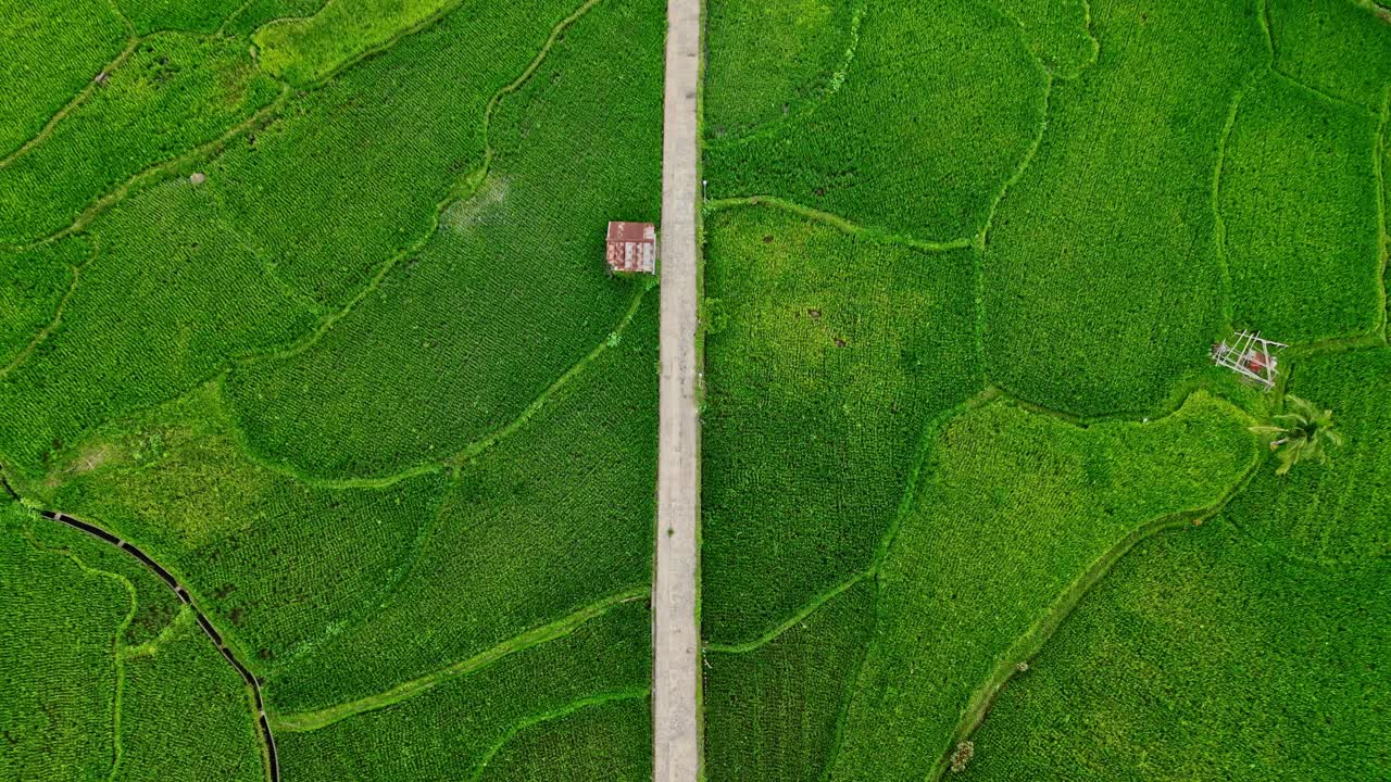 An aerial panorama captures Mahabang Tanaw's rolling green hills, revealing the serene beauty of Quezon Province's countryside