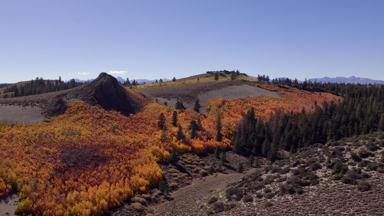 Drone Shot of Fall Colors in a Meadow in Mono County, California - Orbit over the meadow near Sage Hen Summit