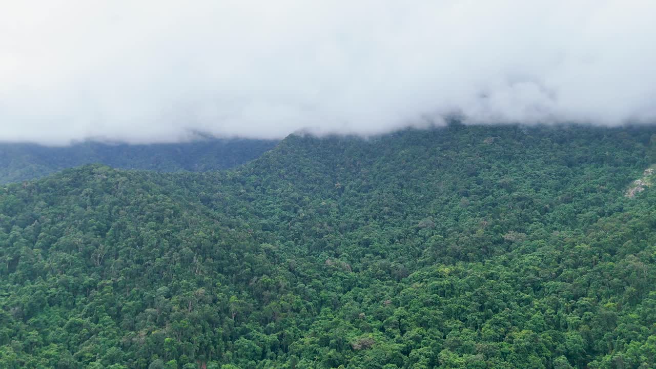 Aerial camera slowly pans across dense green rainforest and rolling hills, with low clouds and mist covering the mountain tops in soft daylight