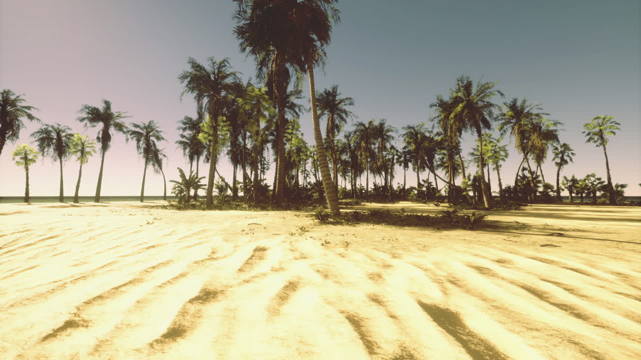 Serene tropical beach landscape with palm trees during golden hour