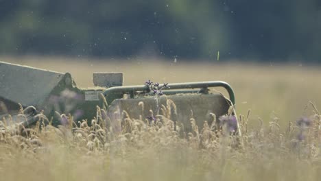 Tractor-Mowing-Long-Grass,-Close-Up-of-Blades,-Shallow-Depth-of-Field,-Slow-Motion-Close-up