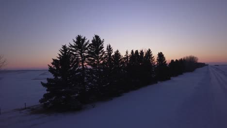 orange setting sun pokes through row of trees along snowy winter road