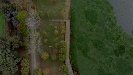 Aerial-view-of-a-lake-shore-full-of-water-hyacinths-and-a-wood-walkway-and-wood-deck