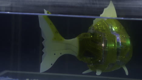 tiburón robótico bajo el agua