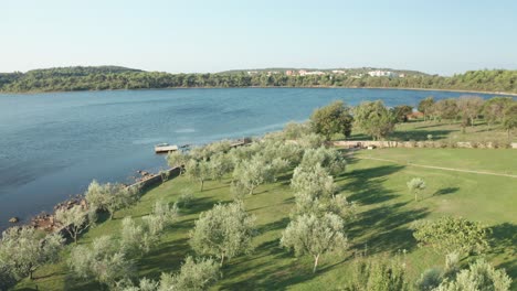 aerial fly over of a beautiful small olive grove near a small lagoon in croatia