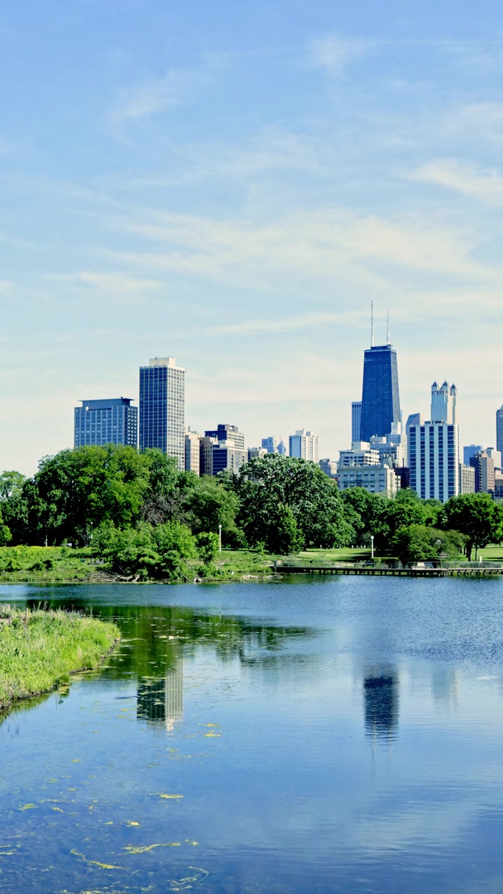 Vista do horizonte da cidade com água e árvores durante um dia ensolarado perto da costa em Chicago, capturada de um parque