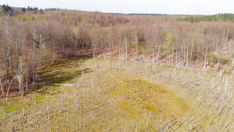 Santuario-De-La-Montaña-De-ámbar-En-Lublewo-Gdańskie,-Polonia