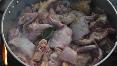 pollo sazonado en una olla sobre una llama abierta