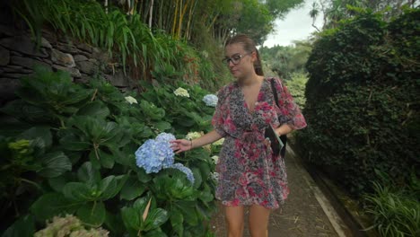 footage filmed in madeira portugal at monte palace tropical garden