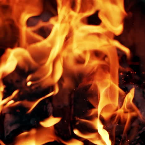 amazing view of bonfire in darkness. bright sparks in fire. vivid flame with detailed sparks over smoldered logs at night.