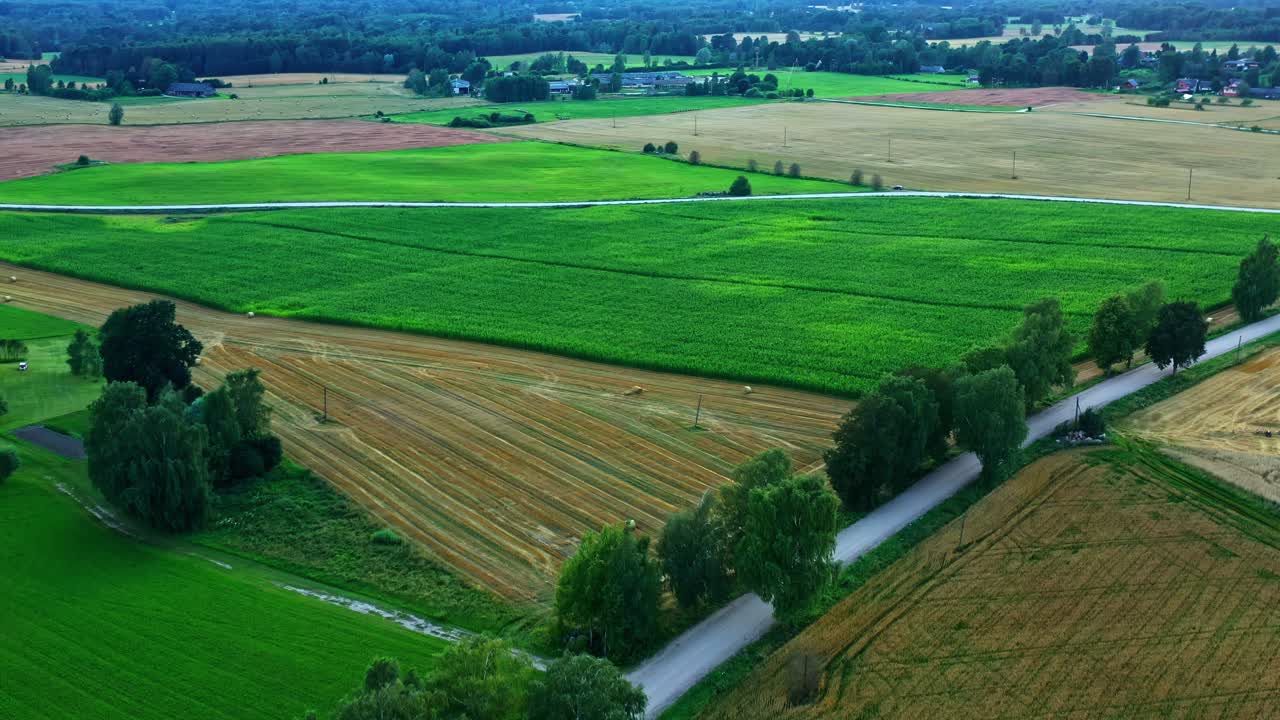 Aerial view of winding countryside road running through green and yellow fields