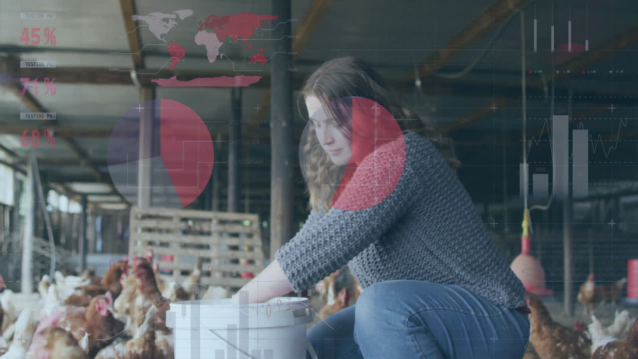 woman crouching in poultry barn with chickens, holding bucket, seeing floating chart on agriculture