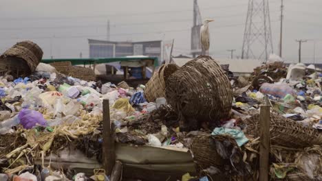 pila de basura nigeria