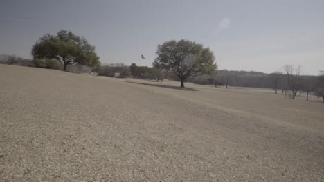 Esta-Es-Una-Toma-En-Movimiento-De-Un-Campo-Abierto-En-Un-Parque.