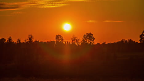 Tiro-De-Lapso-De-Tiempo-De-La-Puesta-De-Sol-En-El-Lapso-De-Tiempo-Sobre-El-Cielo-Rojo-Brillante-Sobre-Los-Abedules-Durante-La-Noche