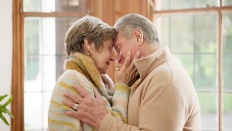 forehead, hug and senior couple with love