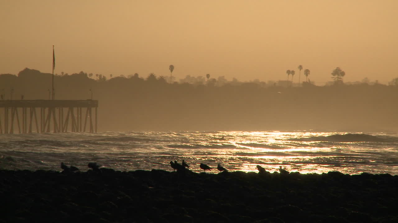 벤추라 캘리포니아의 서퍼 포인트에서 일출 동안 물에서 나오는 서퍼 실루엣을 닫습니다.