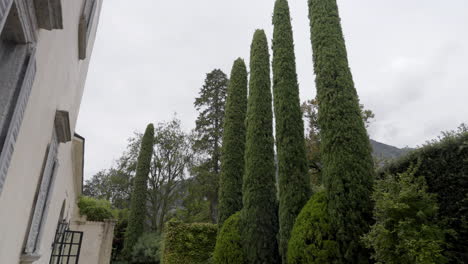 italian villa garden with cypress trees