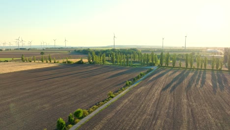 Aerial-View-Of-Field,-Trees,-And-Wind-Turbines-Generating-Clean-Energy-Near-The-Carnuntum-Amphitheatre-In-Austria
