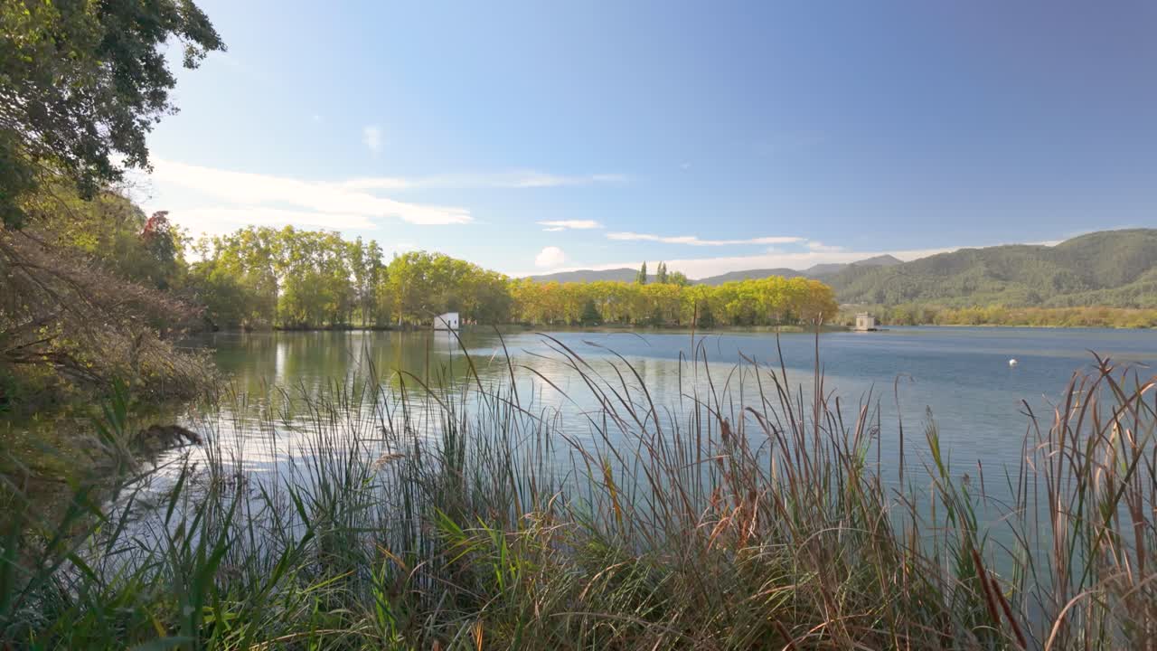 Serene Lake Landscape with Trees and Mountains