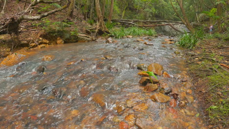 Small-Creek-Flowing-From-Unicorn-Falls,-Mount-Jerusalem-National-Park