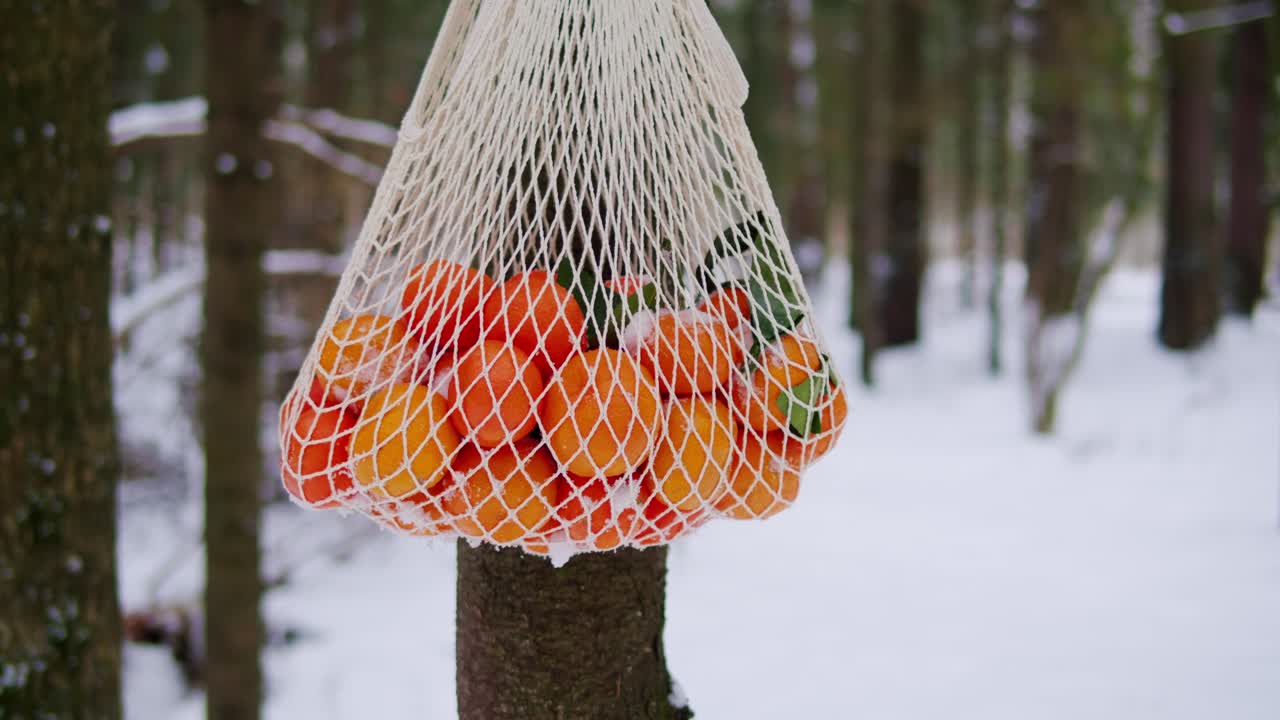 눈 인 숲 에서 그물 가방 에 넣은 겨울 오렌지