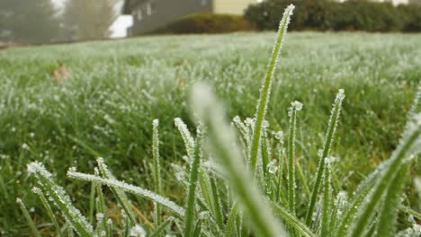 Morgenfrost-Auf-Dem-Gesamten-Rasen