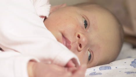 portrait of newborn baby girl