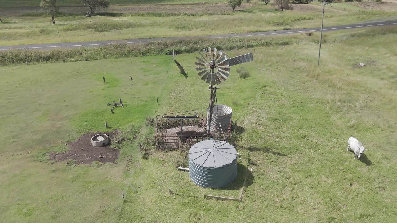 крупный рогатый скот вблизи ветряной мельницы и водохранилища