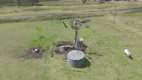 cattle roam near windmill and water storage tank