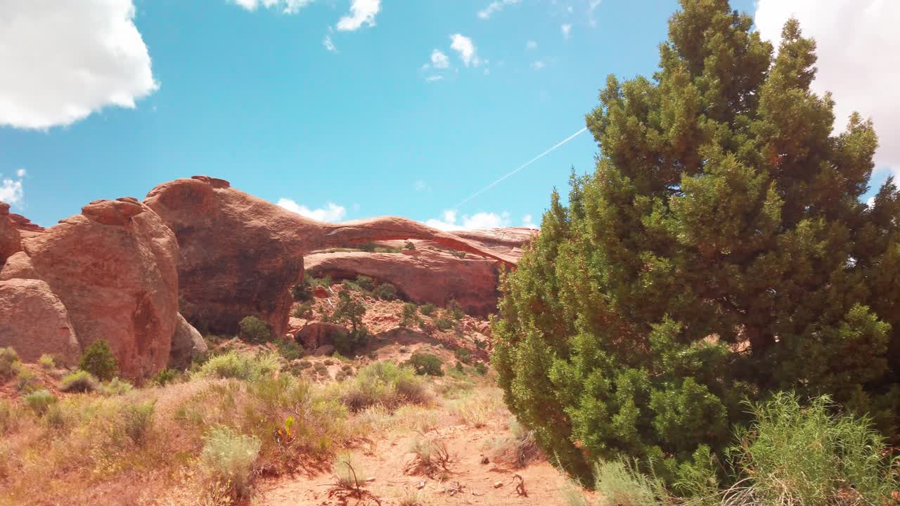 toma panorámica desde el árbol hasta el arco del paisaje en el parque nacional arches, utah