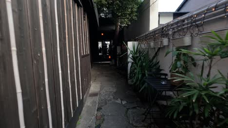 a narrow path with plants and wooden walls