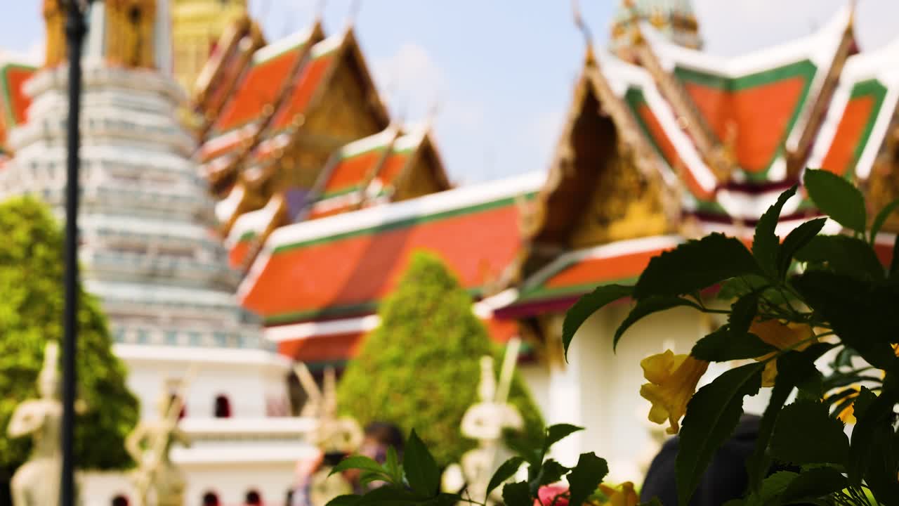 성전 과 잎자루 의 경치