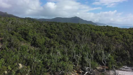 Low-aerial-flight-over-forested-hill-to-tropical-green-sea-sailboats