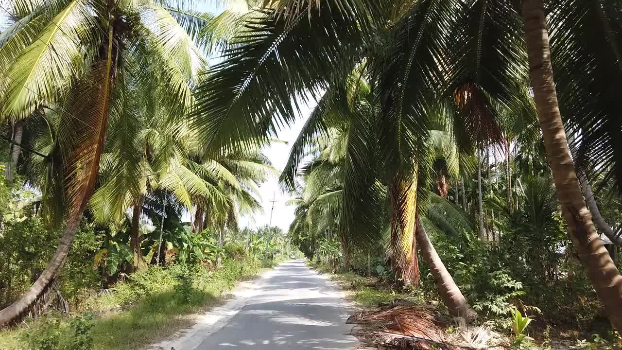 conduciendo por una carretera estrecha en una isla remota en las andamans en india con palmeras y plantas de banano mezcladas con campos agrícolas